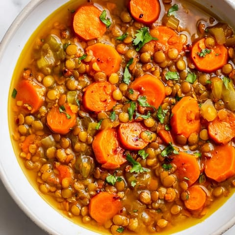 Gewürzte Karotten Linsensuppe #146