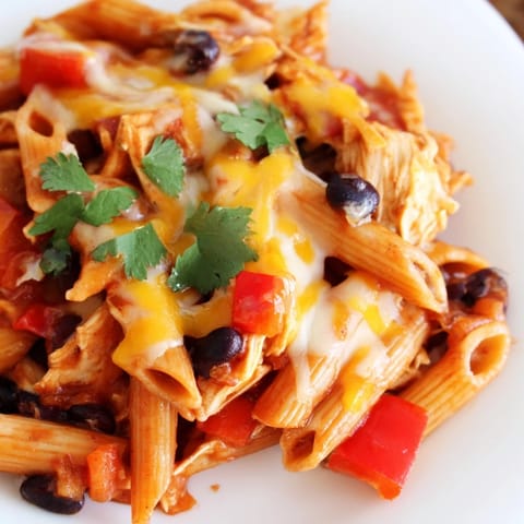 Köstliche Chicken-Enchilada-Pasta mit cremiger Sauce, gedünsteten Tomaten und frischem Koriander bestreut.